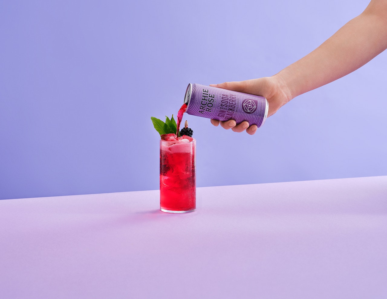Gin & Blackberry With Native Lemon Myrtle - 24x330ml
