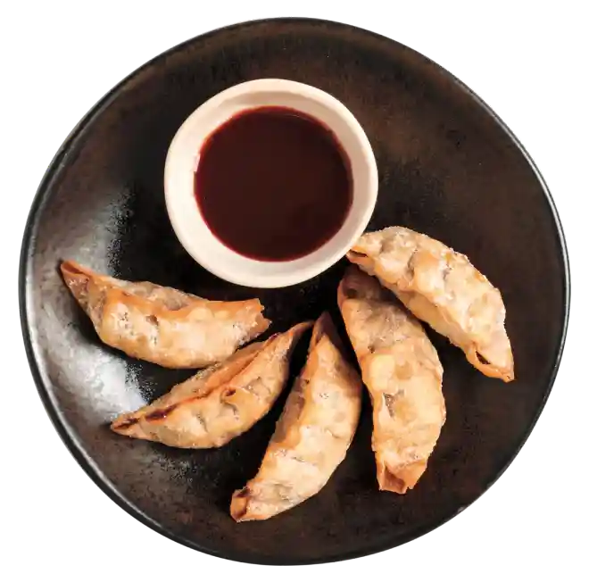 duck gyoza