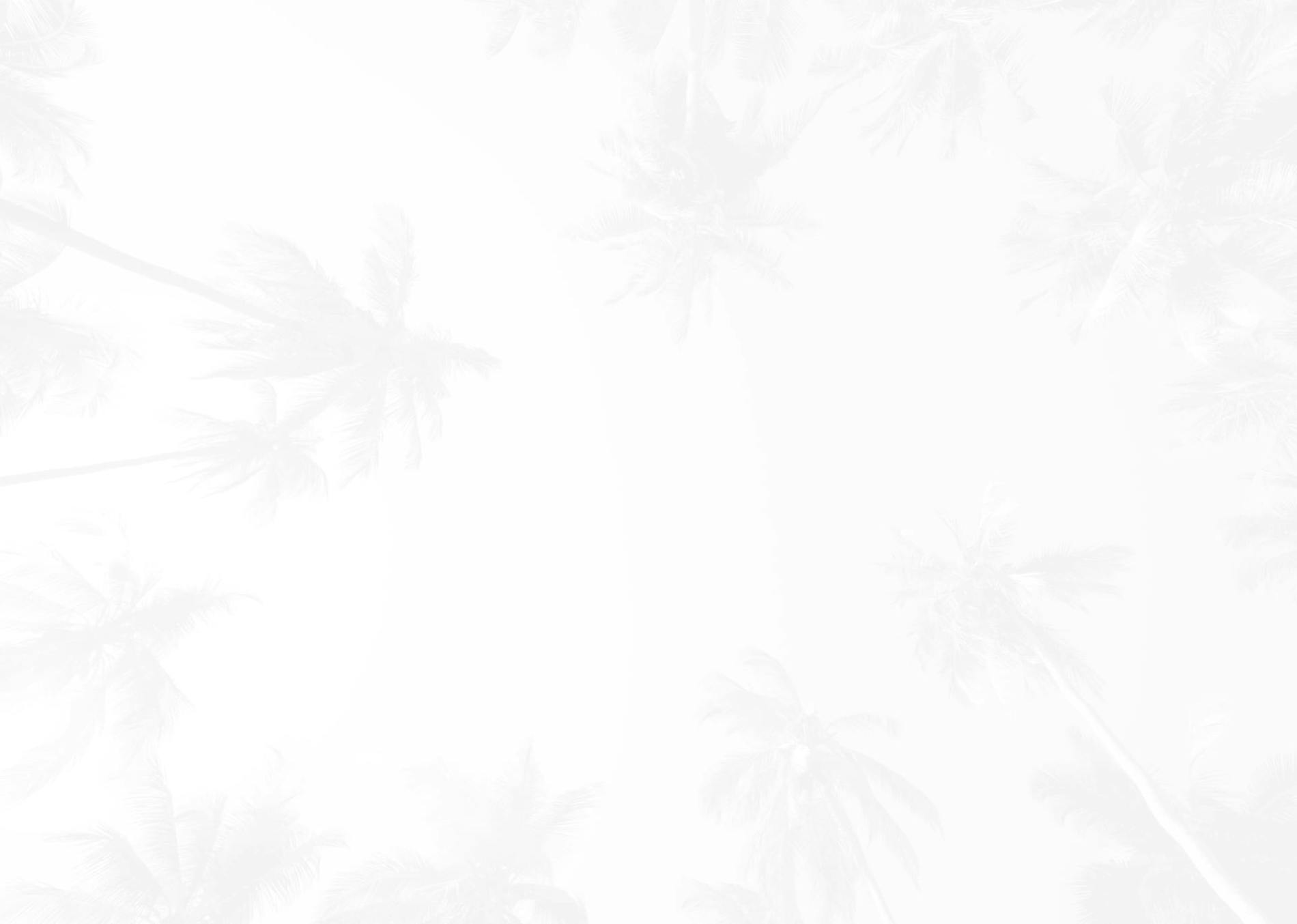Background Media