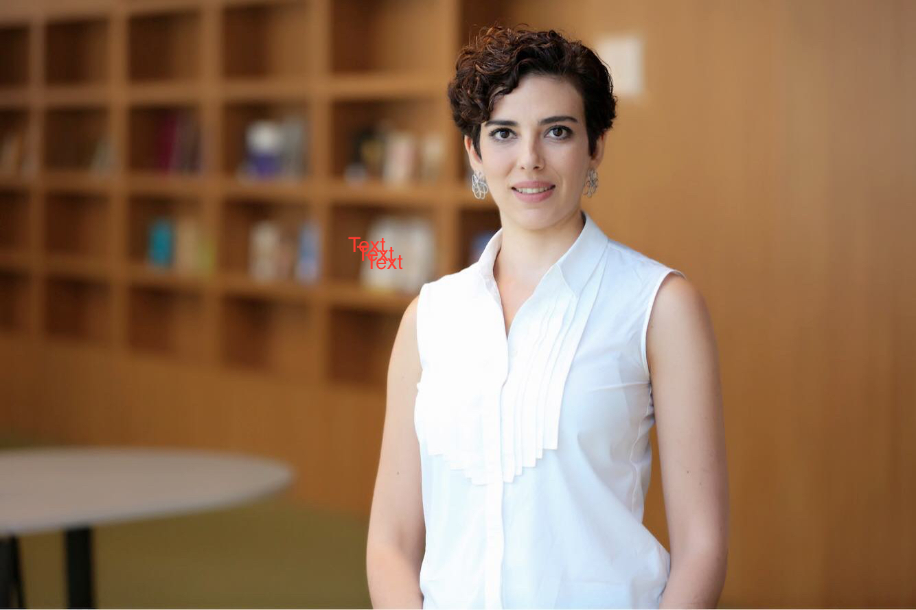 ZELİHA HACIMURATLAR SEVİNÇ - MEF