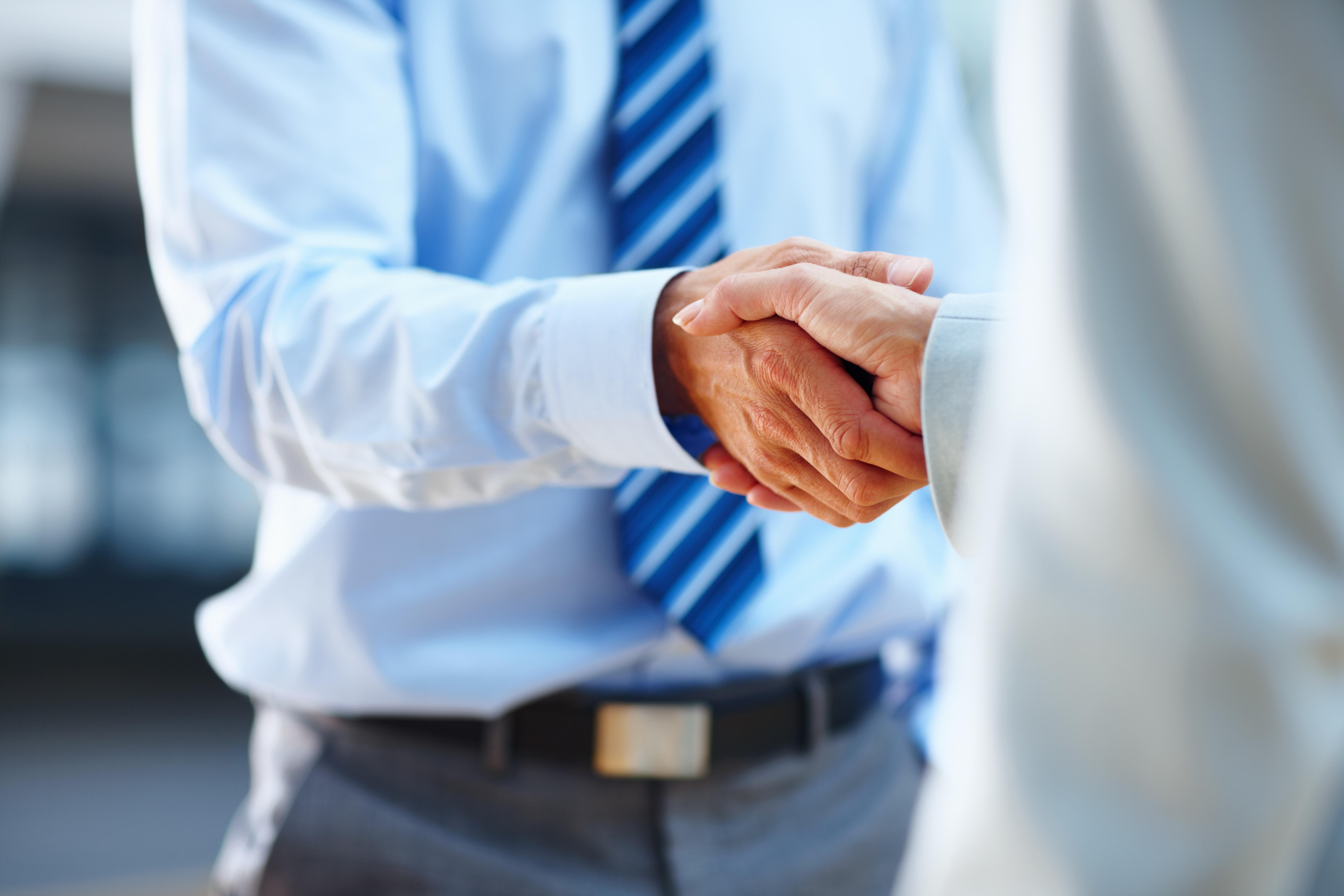 Vendor Partnership Man Shaking Hands
