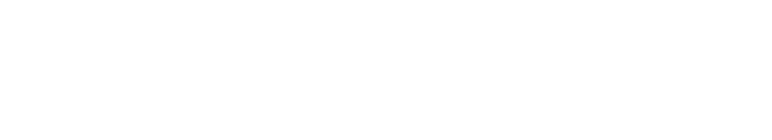 Vein & Aesthetics Center Website Logo