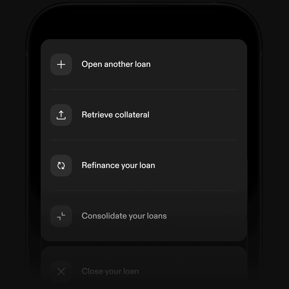 Borrow money against bitcoin holdings (87) 사진