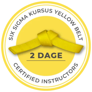 six sigma yellow belt 2 dages kursus logo