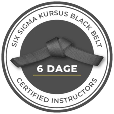 Logo til six sigma black belt kursus