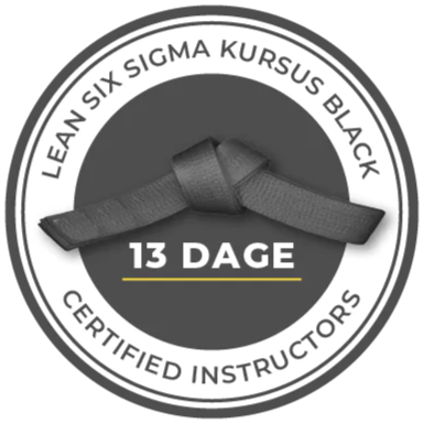 logo af lean six sigma black belt kursus