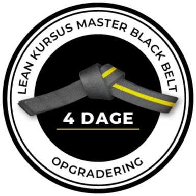 logo til lean master black belt upgrade kursus