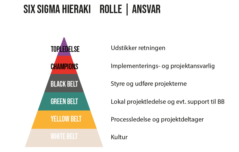 Six Sigma Hieraki bælter