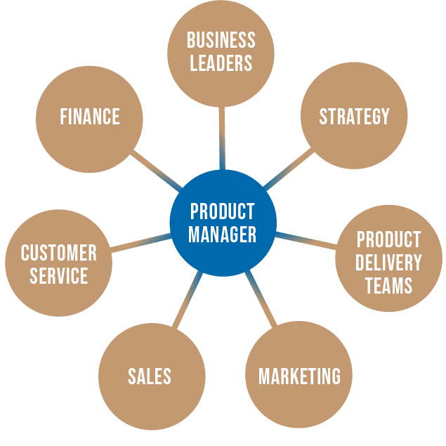 Diagram over Product Managerens ansvarsområder