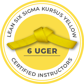 Lean six sigma kursus yellow belt 6 uger logo
