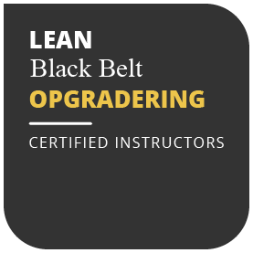 logo af lean kursus black belt