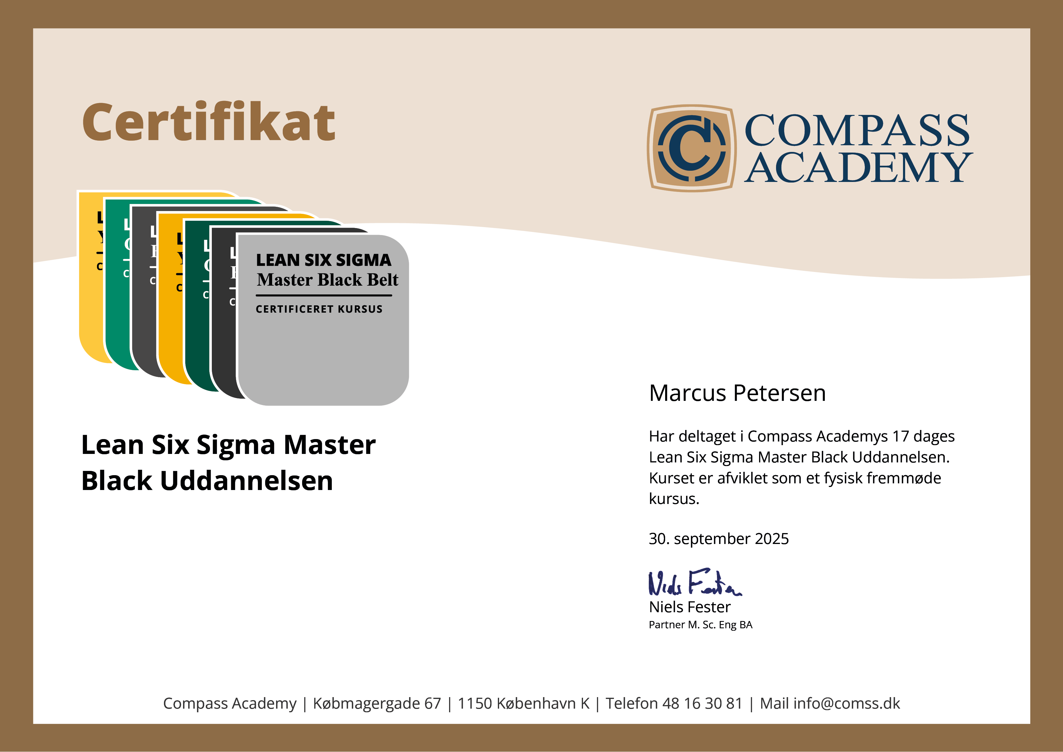 Lean Six Sigma Master Black Belt Kursus Certifikat