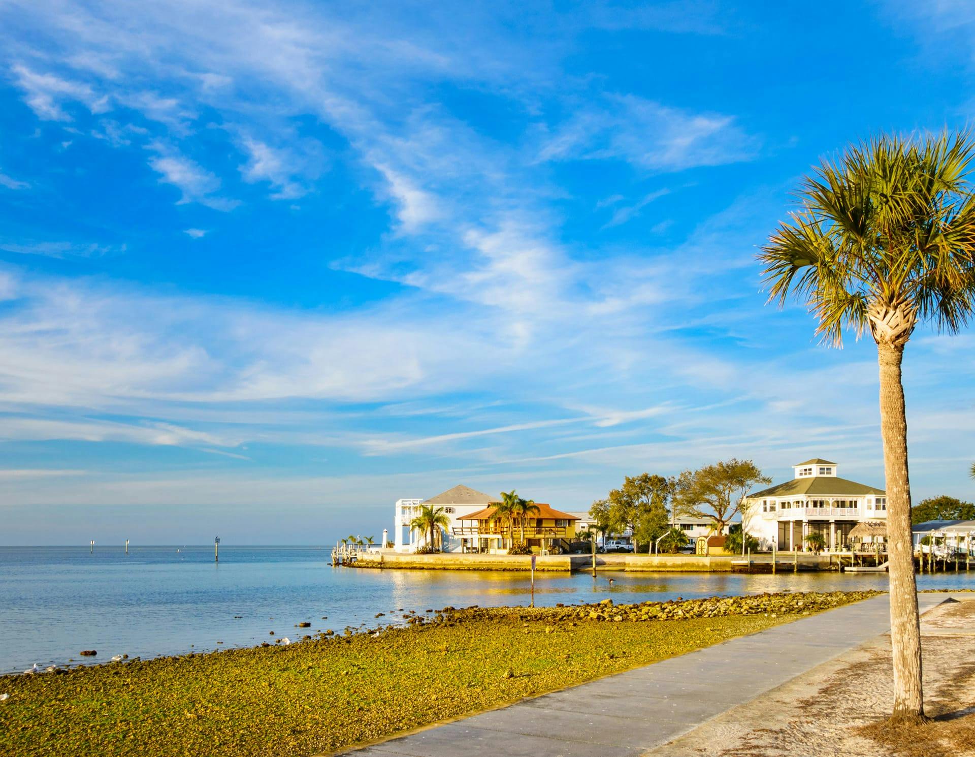 New Port Richey Skyline