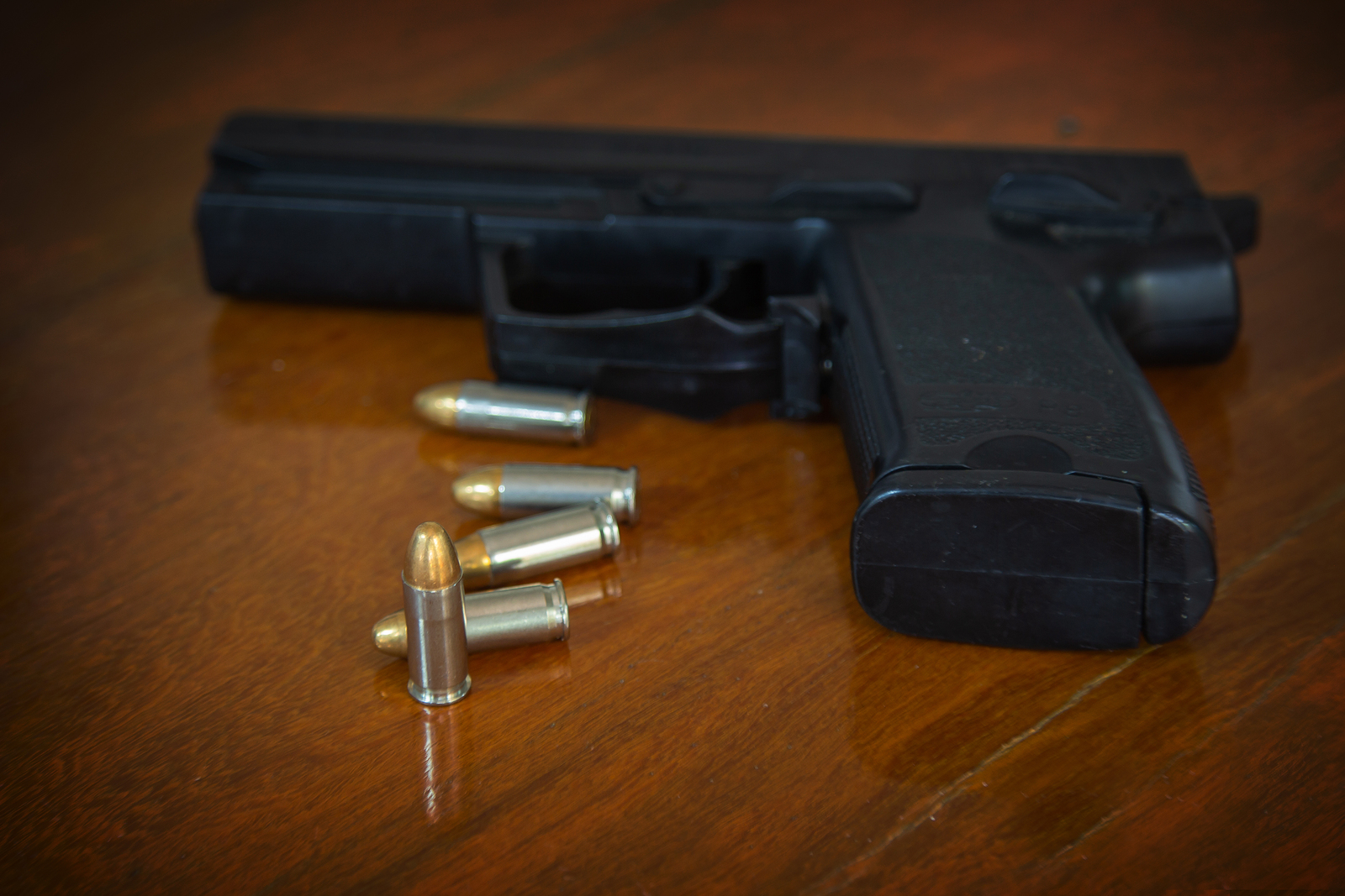 What Are the Gun Laws in Florida?