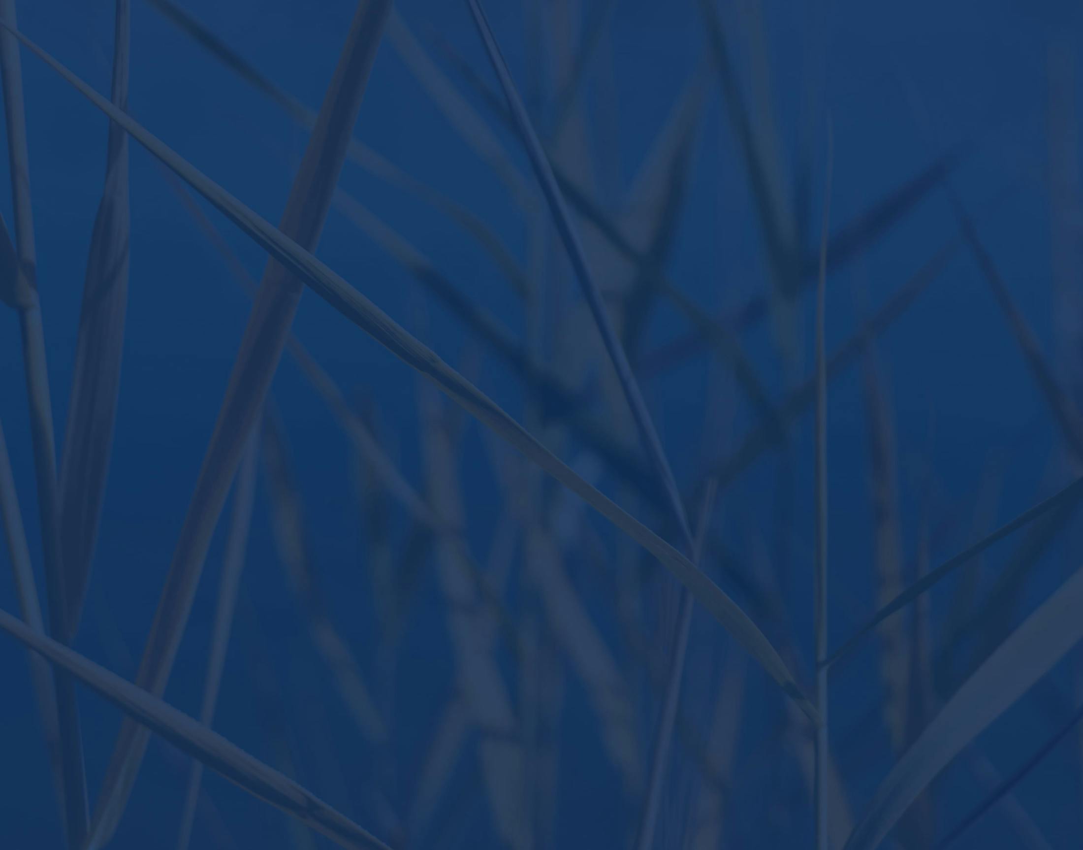 Background media