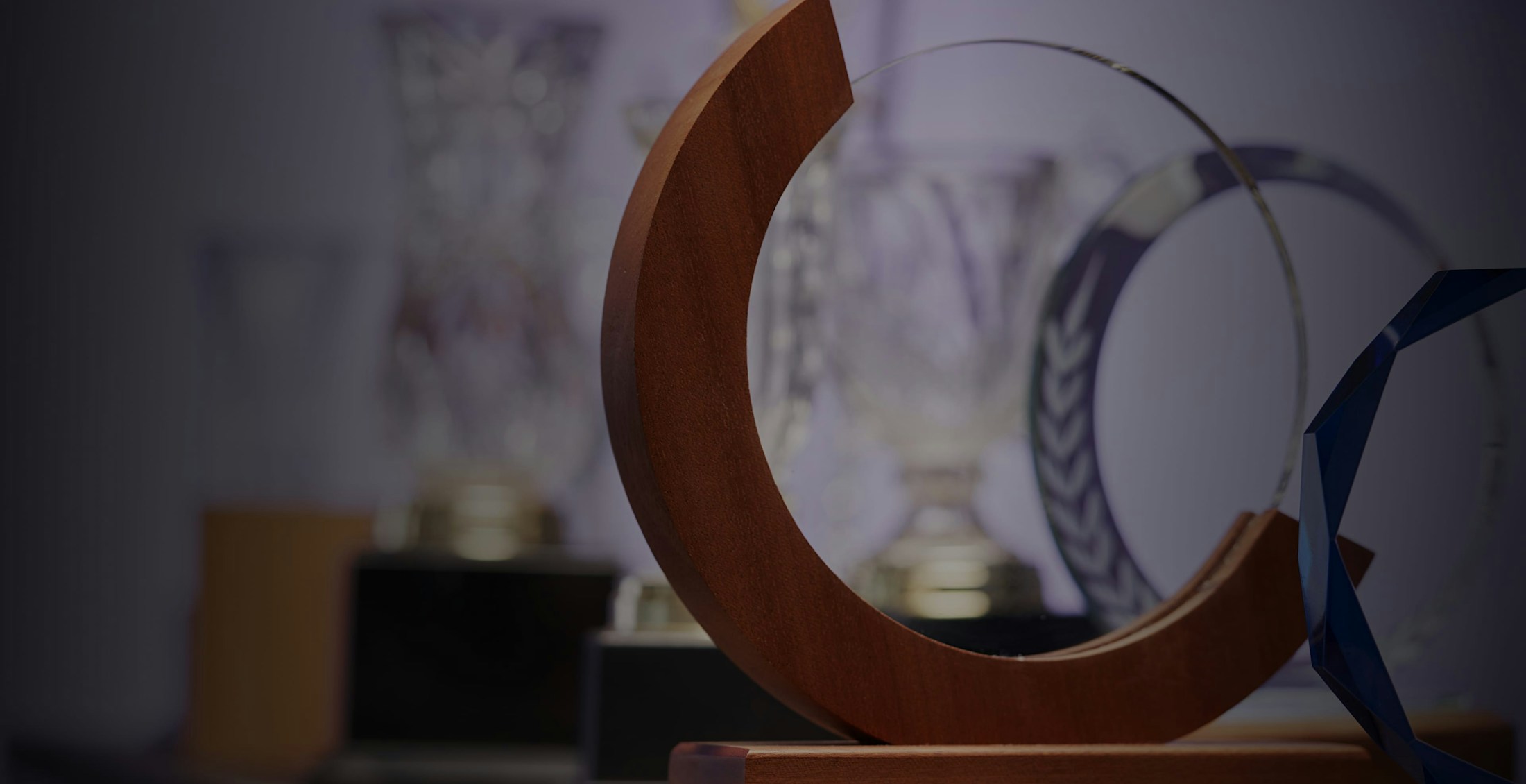 Awards for Dr. Albert Andres