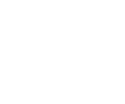 American Board of Plastic Surgery