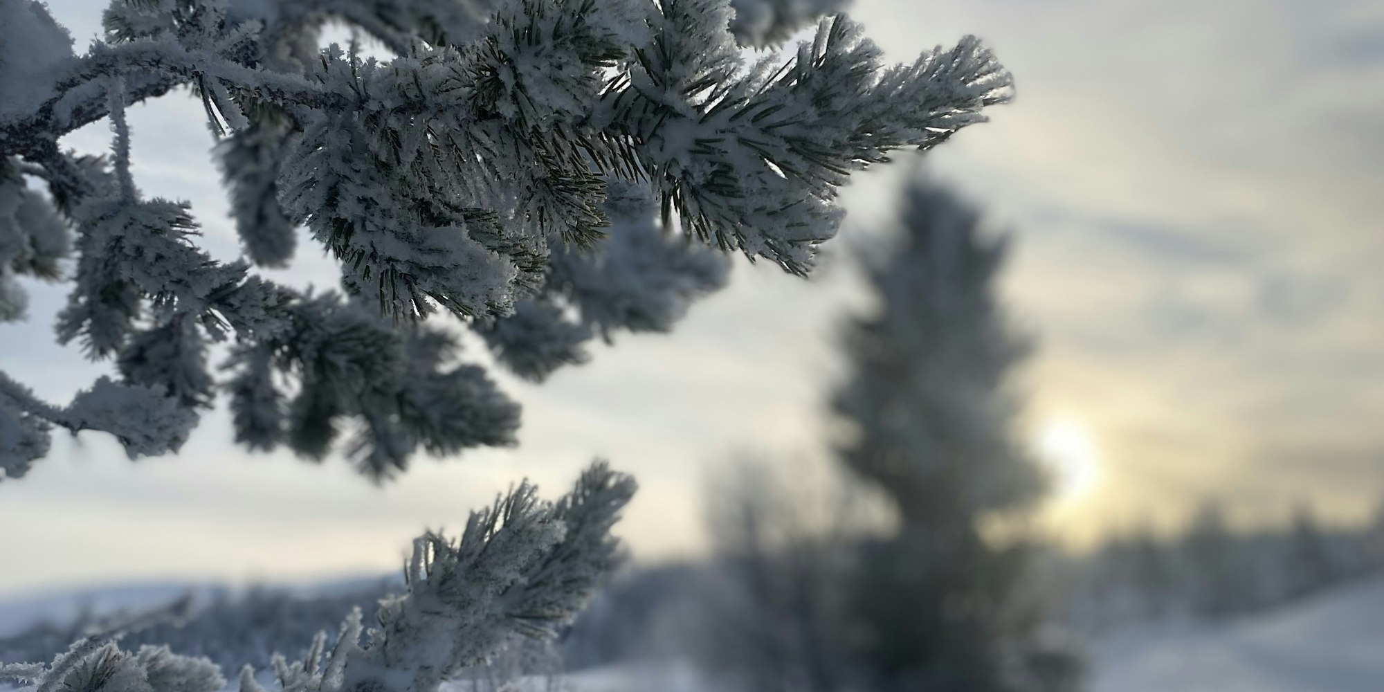 Learn Javascript CSS And React learn-javascript-css-and-react