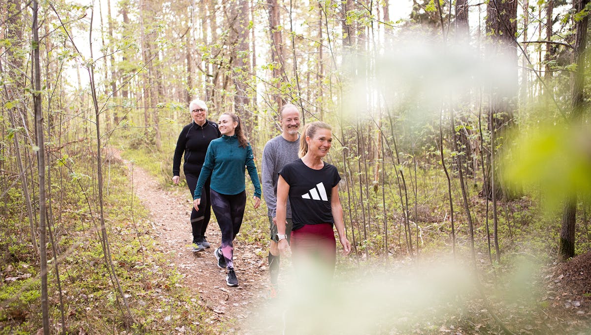 Fyra av Midagons medarbetare är ute och promenerar tillsammans på en stig i skogen.