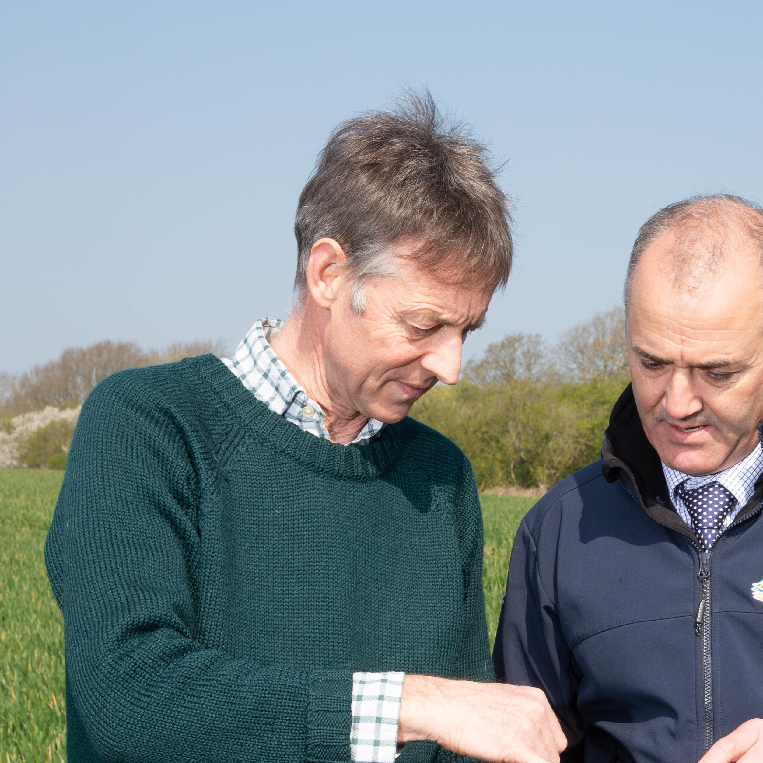 clothing, knitwear, sweater, adult, male, man