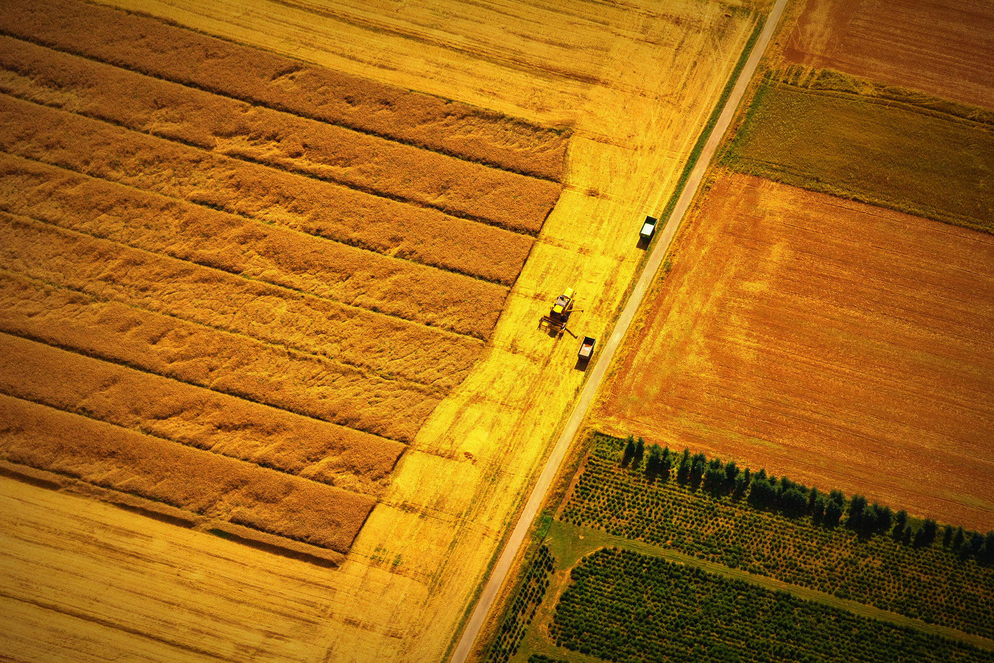outdoors, nature, countryside, rural, farm, aerial view