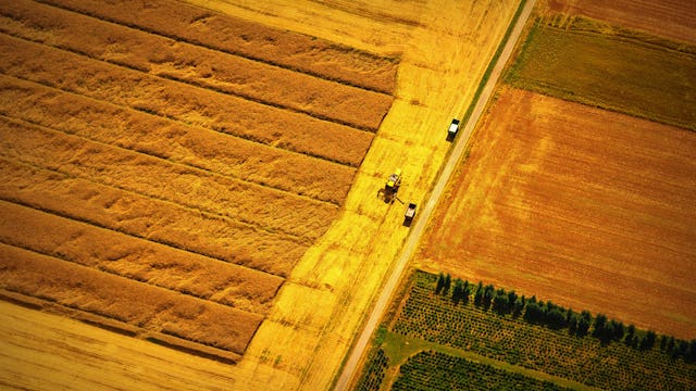 outdoors, nature, countryside, rural, farm, aerial view