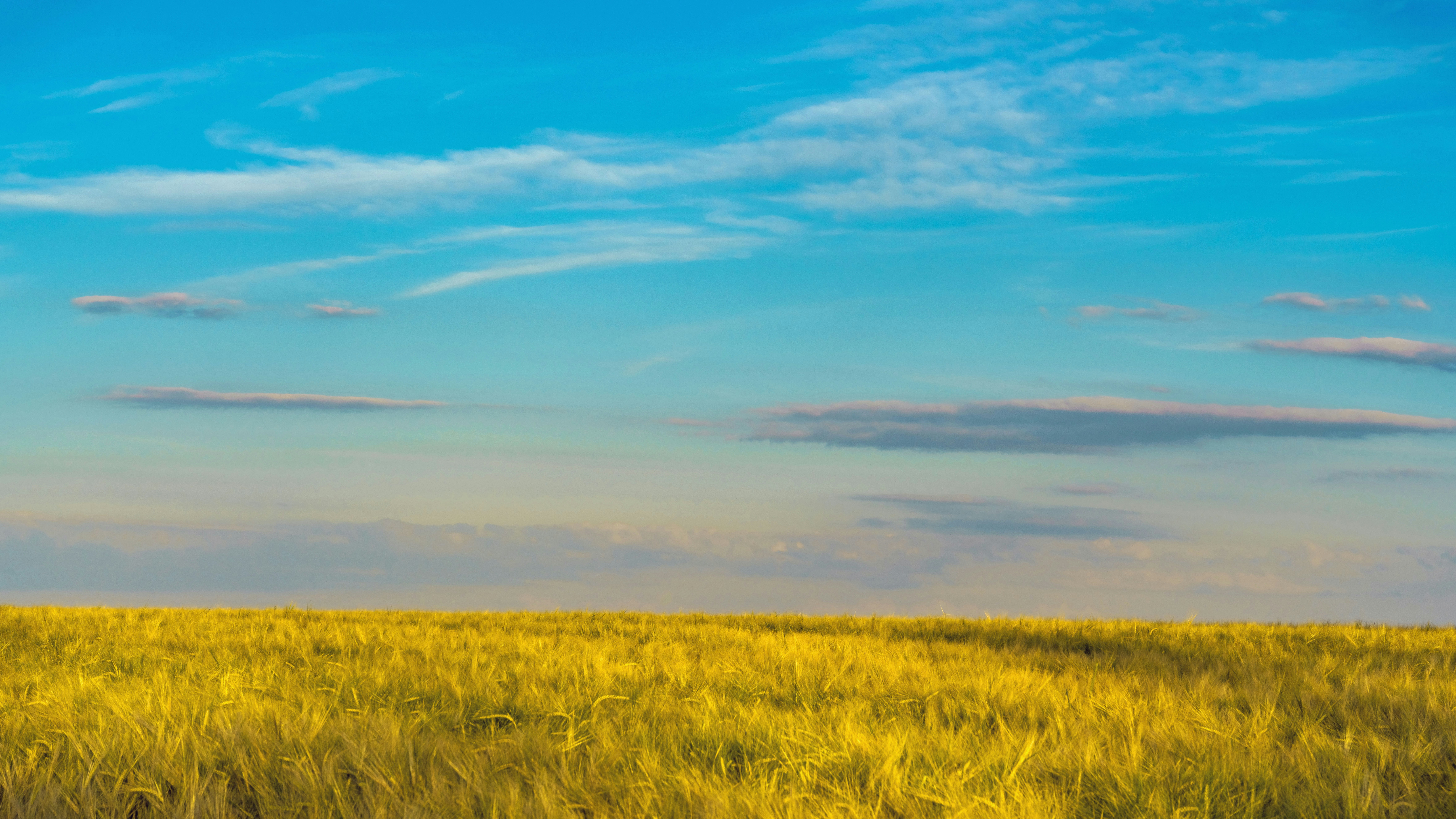 horizon, nature, outdoors, sky, scenery, landscape